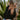 Winddichte Teddyjacke Frauen