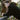 Teddyjacke-Winddicht-AMOR-MARIS